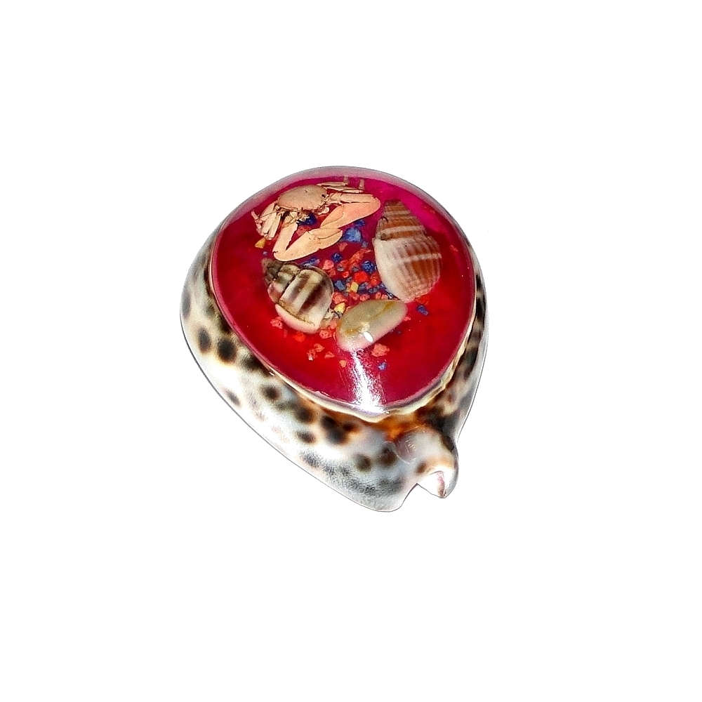 Concha de Tigre con Decoración (minimo 12und