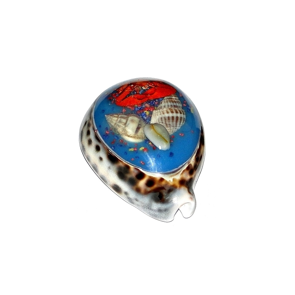 Concha de Tigre con Decoración (minimo 12und - Imagen 2