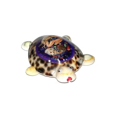 Magnético de Tortuga con Decoración (minimo 12und
