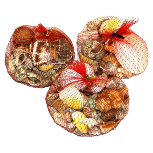 Bolsita con Conchas