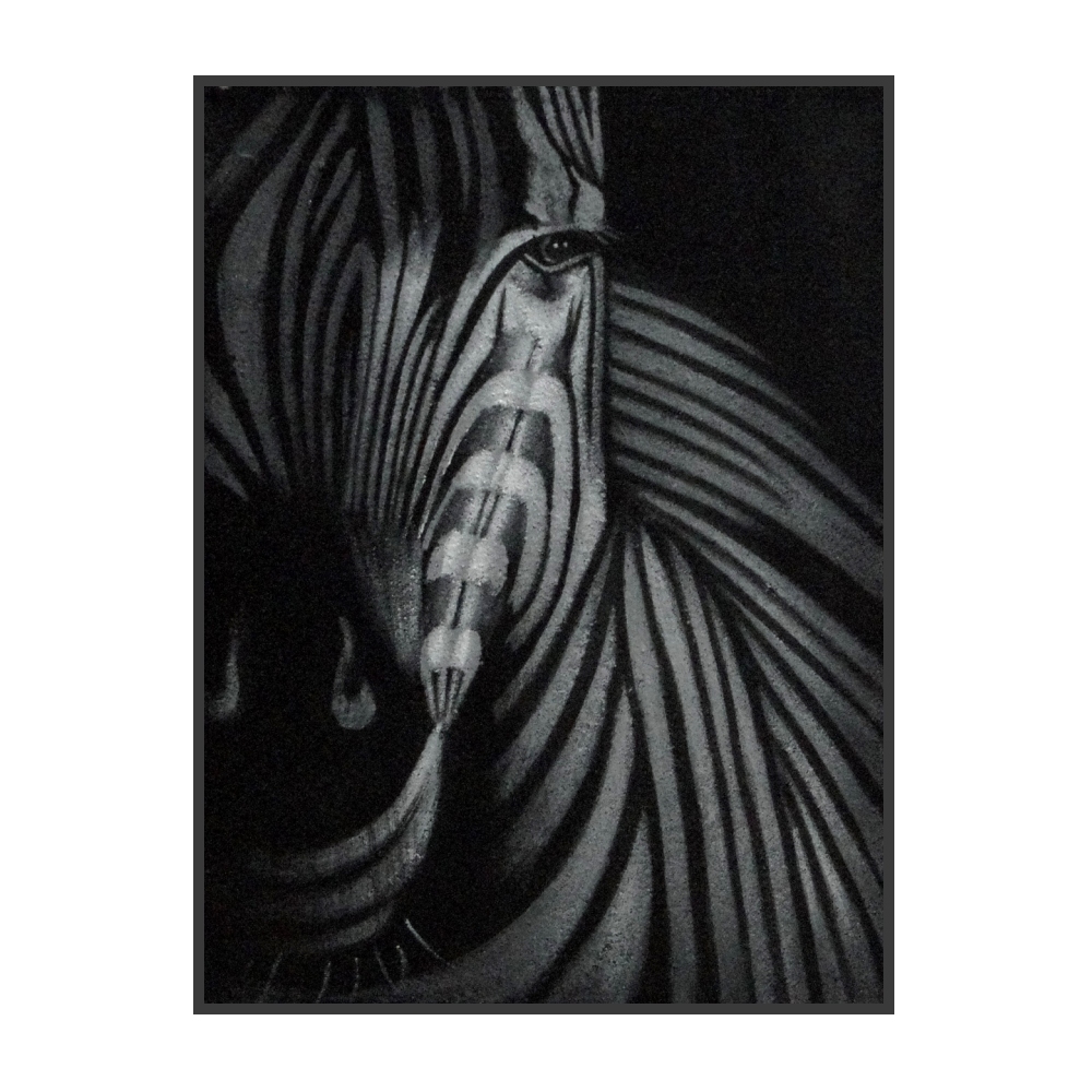 Cuadro de Cebra 40x50cms - Imagen 2
