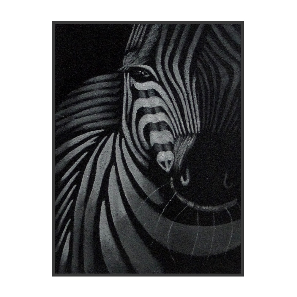 Cuadro de Cebra 40x50cms - Imagen 3