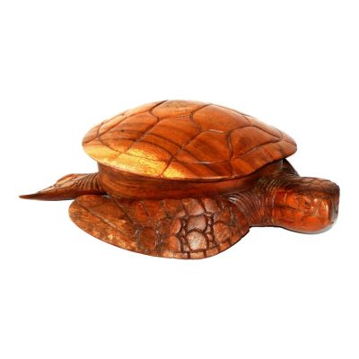 Caja tortuga 40 cm