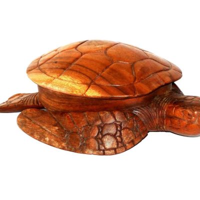 Caja tortuga 30 cm