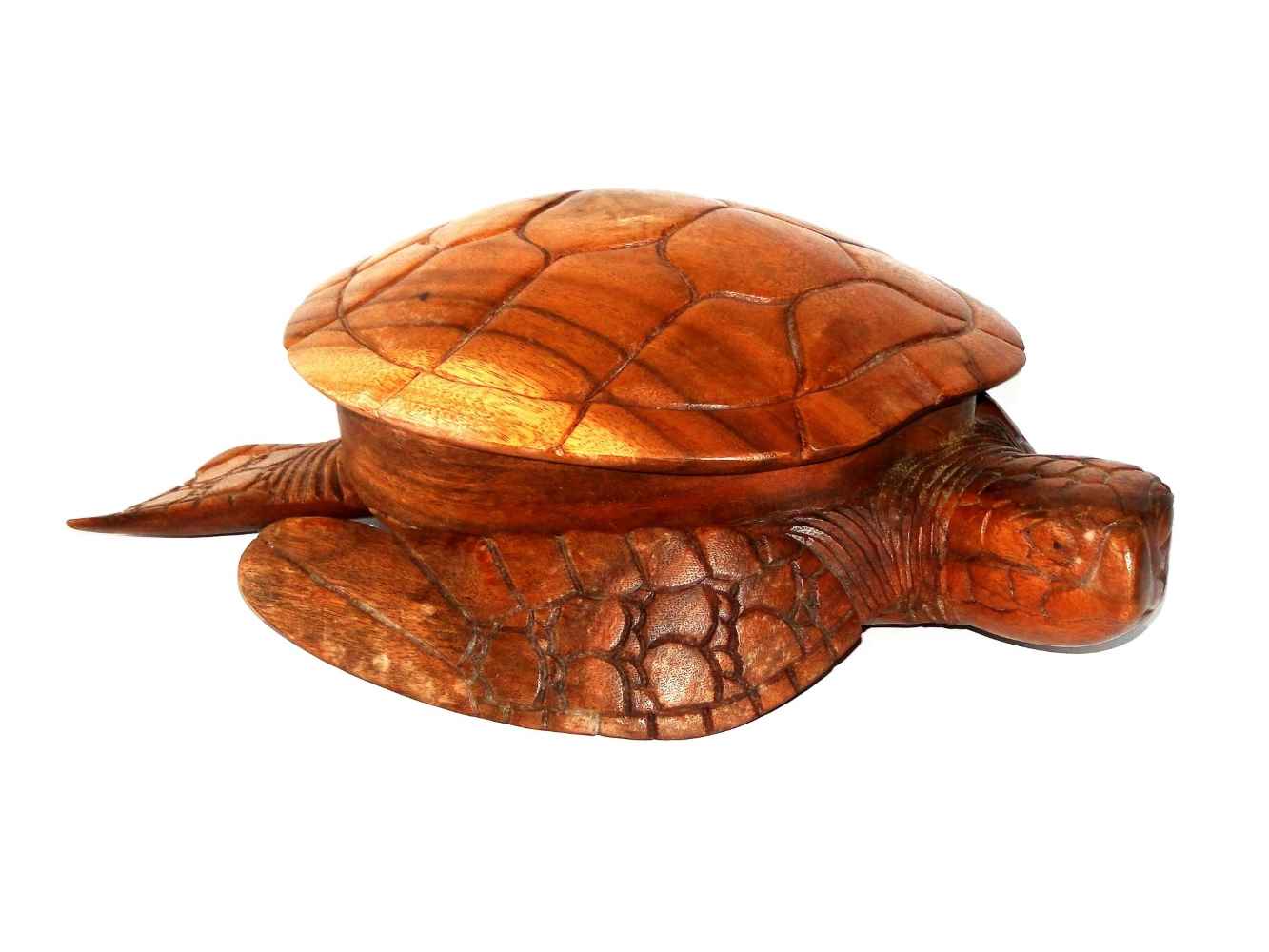 Caja tortuga 30 cm