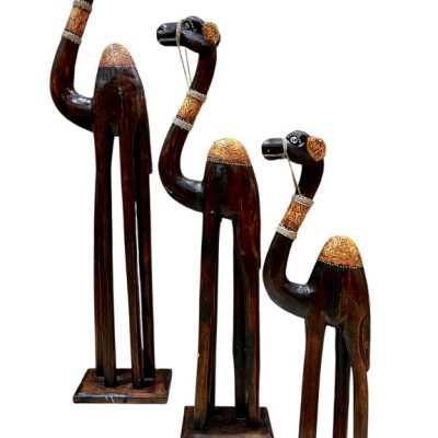 Camello set 3