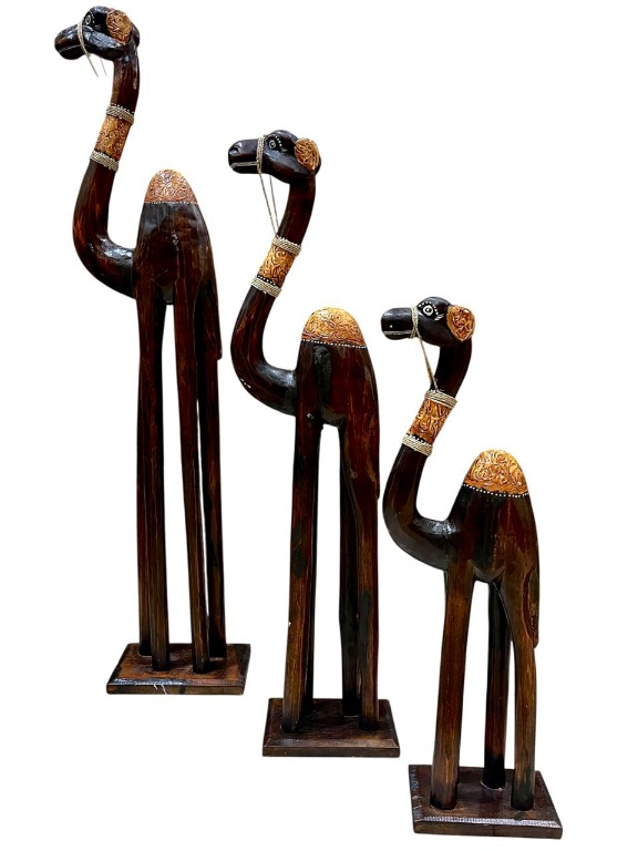 Camello set 3