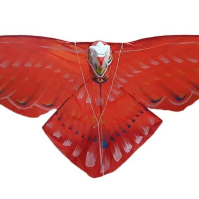Cometa pajaro grande