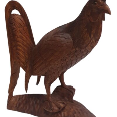 Gallo 50cm
