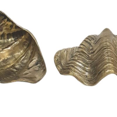 Concha bronze