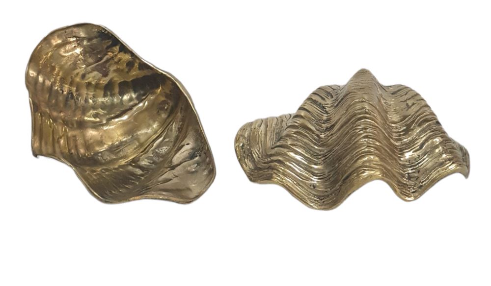 Concha bronze