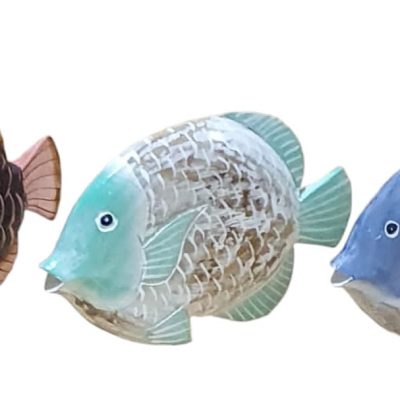Pescado redondo 24x15cm