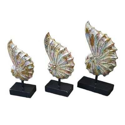 Concha nautilus set 3 40-30-25cm