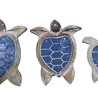 Torugas planas set 3 15-14-11cm