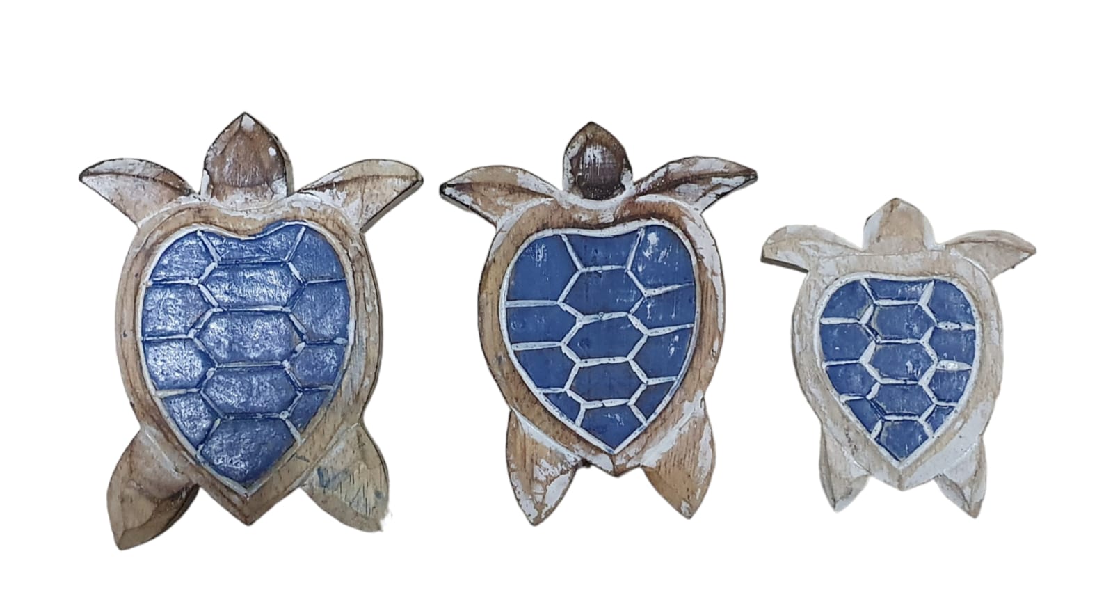 Torugas planas set 3 15-14-11cm