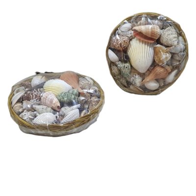 plato tejido con  conchas