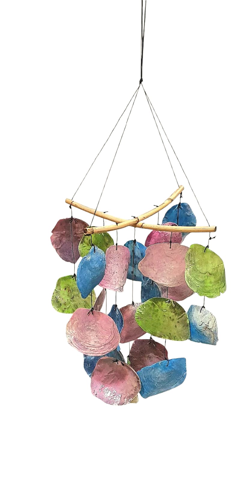 Colgante ostra de color 15