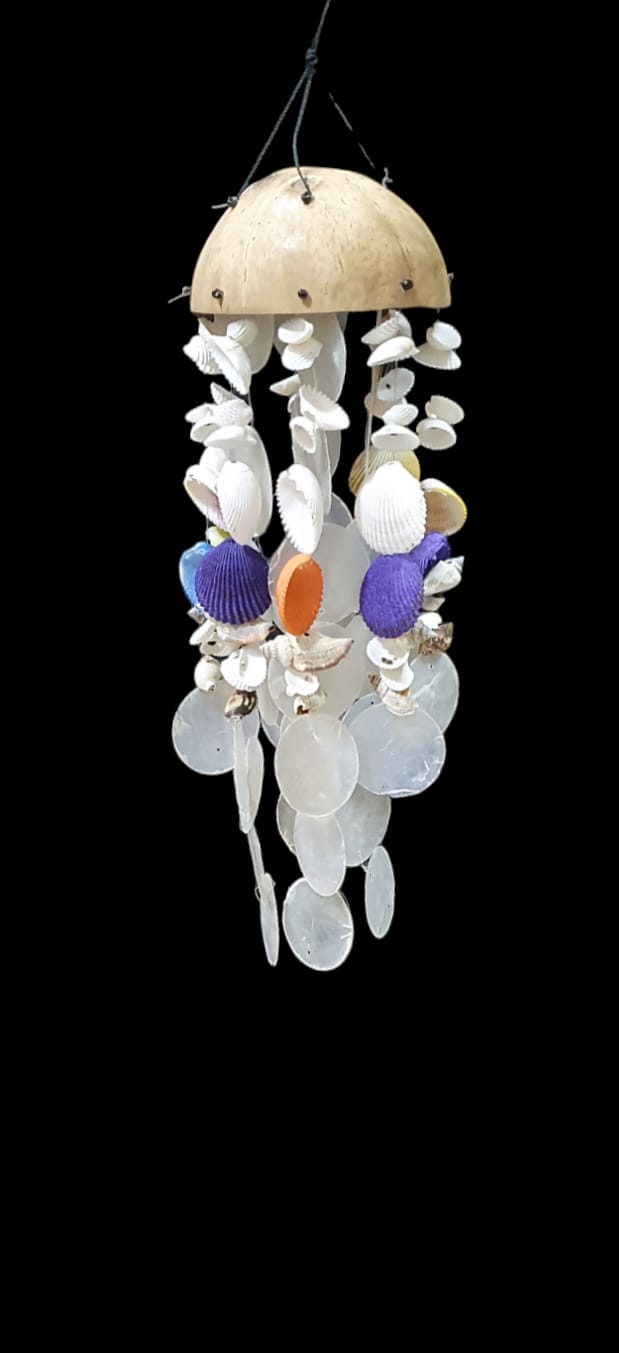 Colgante coco concha nacar 40cm