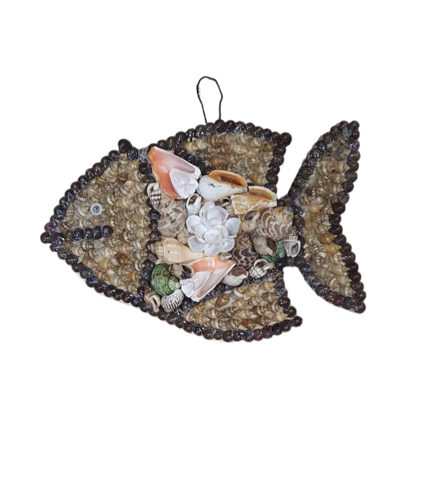 Pescado de concha para la pared 22 cm