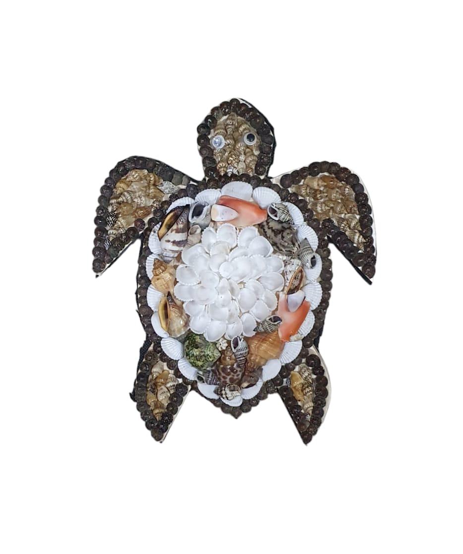 Tortuga de concha para la pared 22 cm