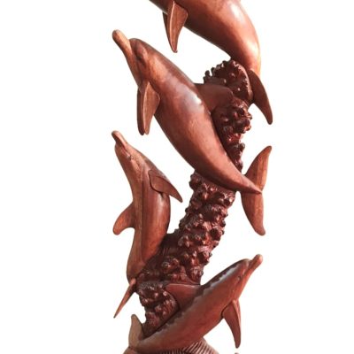 Delfin 1.70 cardumen