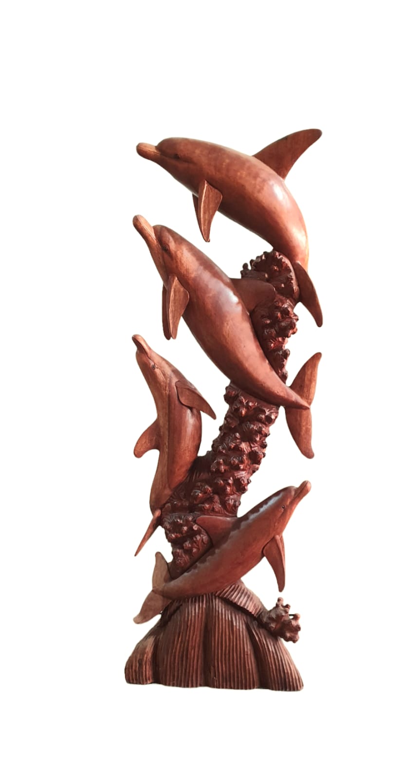 Delfin 1.70 cardumen