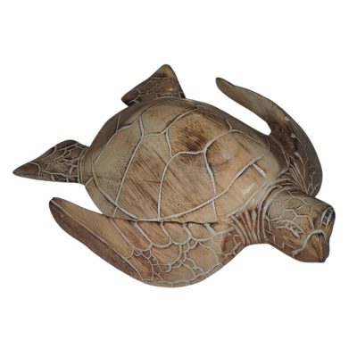 Tortuga 30 cm wash blanca
