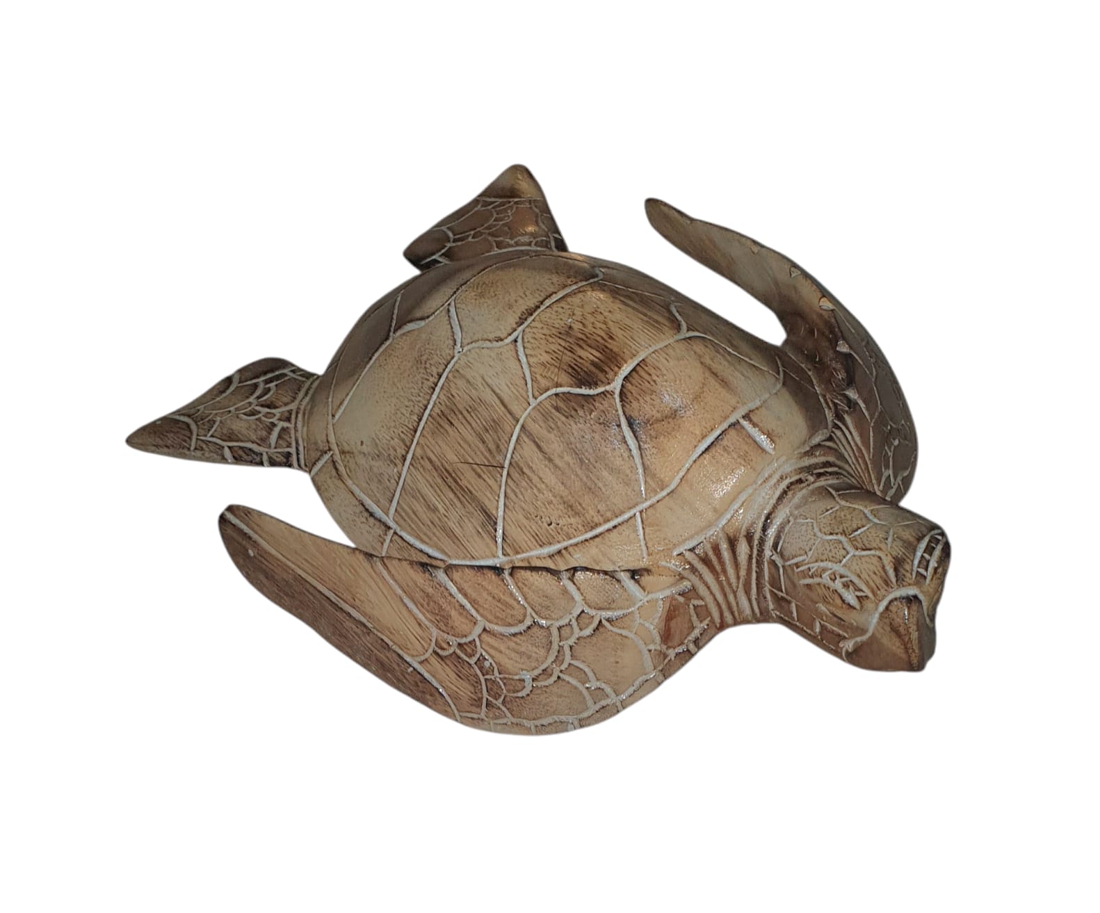 Tortuga 30 cm wash blanca