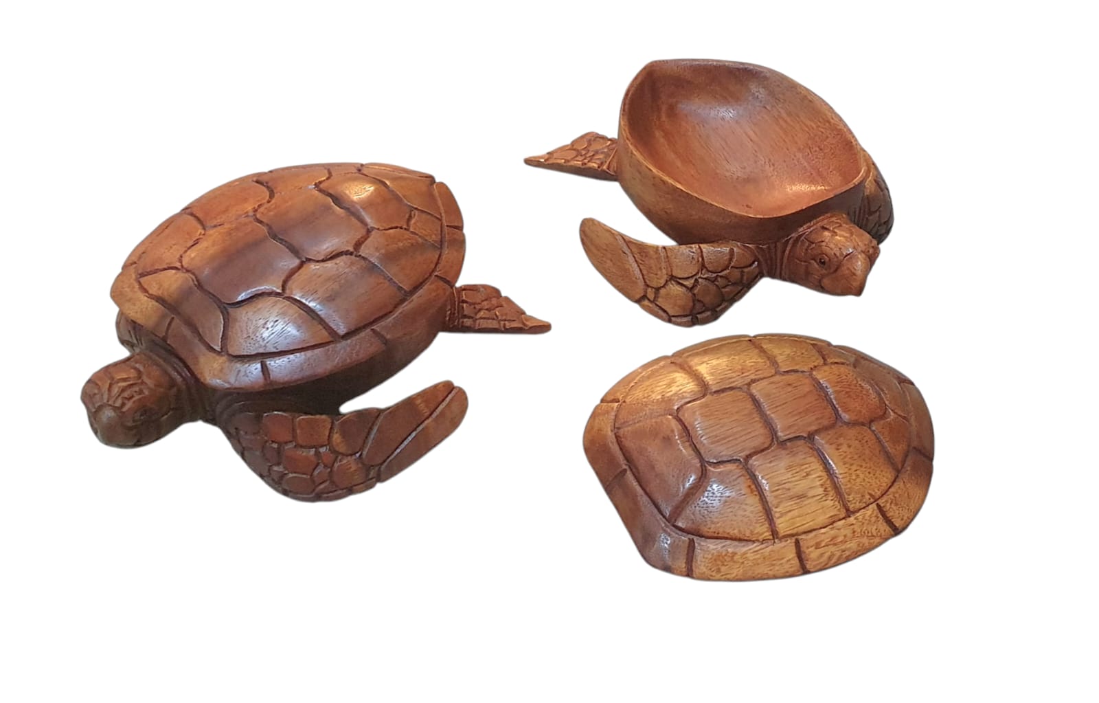 Caja tortuga con tapa 20 cm