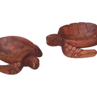 Porta fruta tortuga 30cm