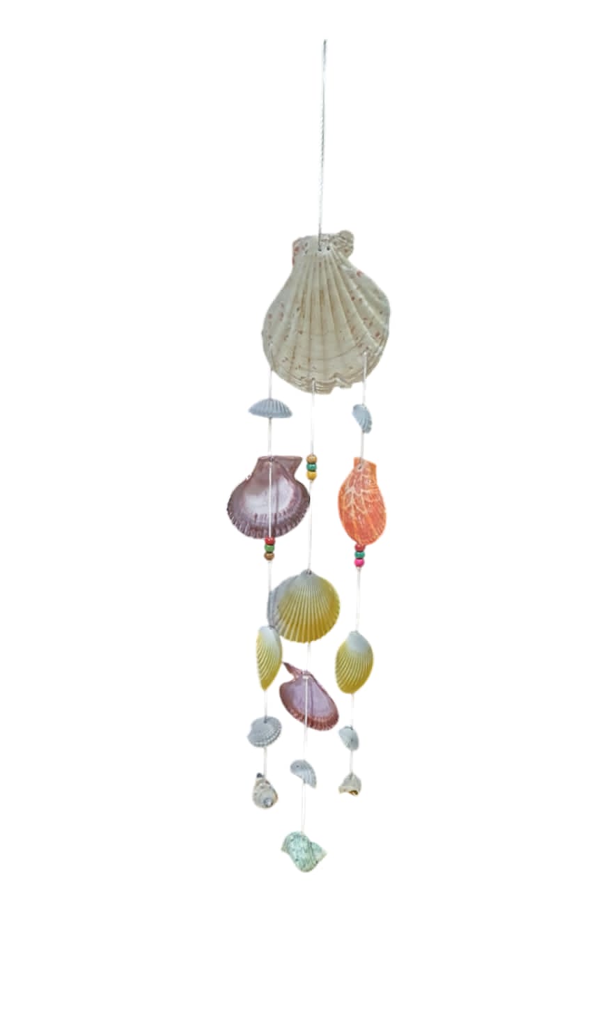 Colgante shell concha simple 40cm