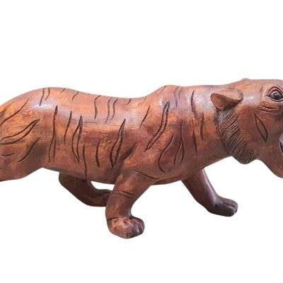 Tigre 50 cm