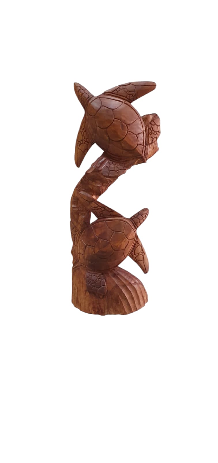 Tortugas doble pedestal 50 cm
