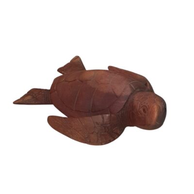 Tortuga 40 cm