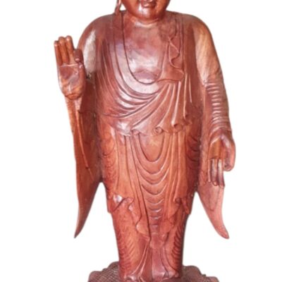 Buda parado 1m