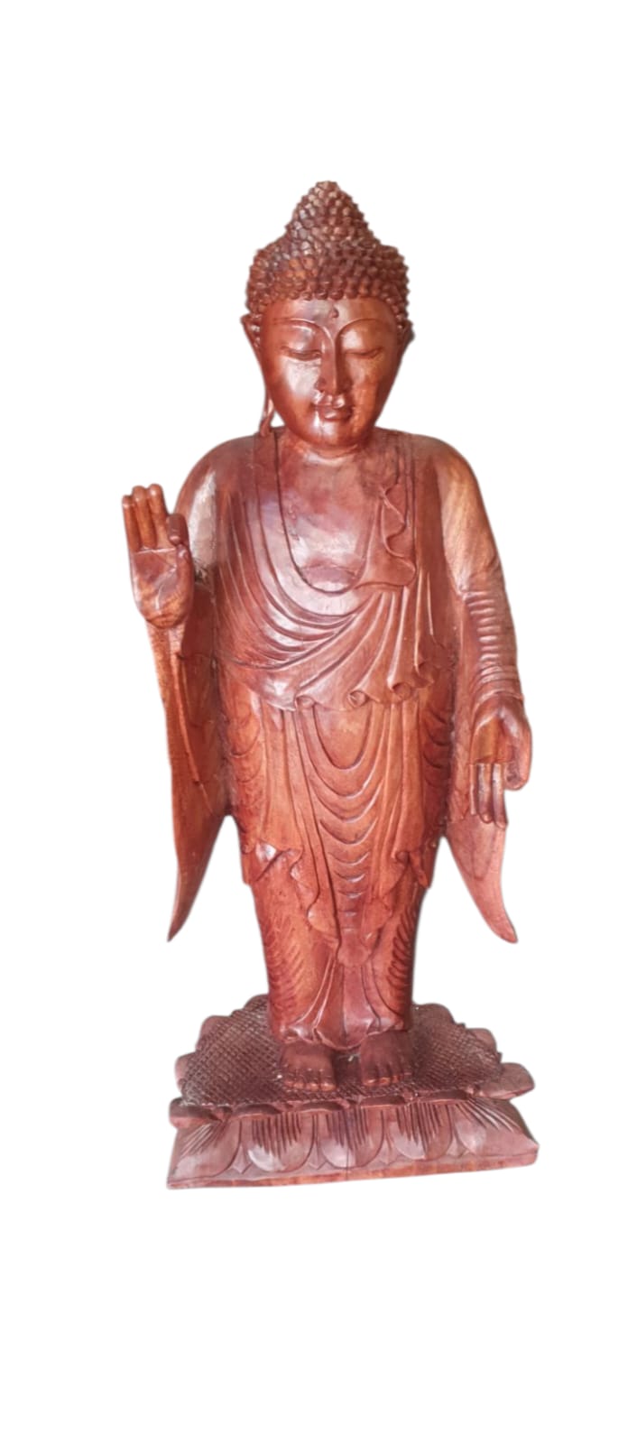 Buda parado 1m
