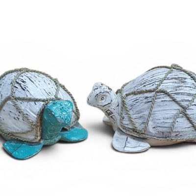 Tortuga coco