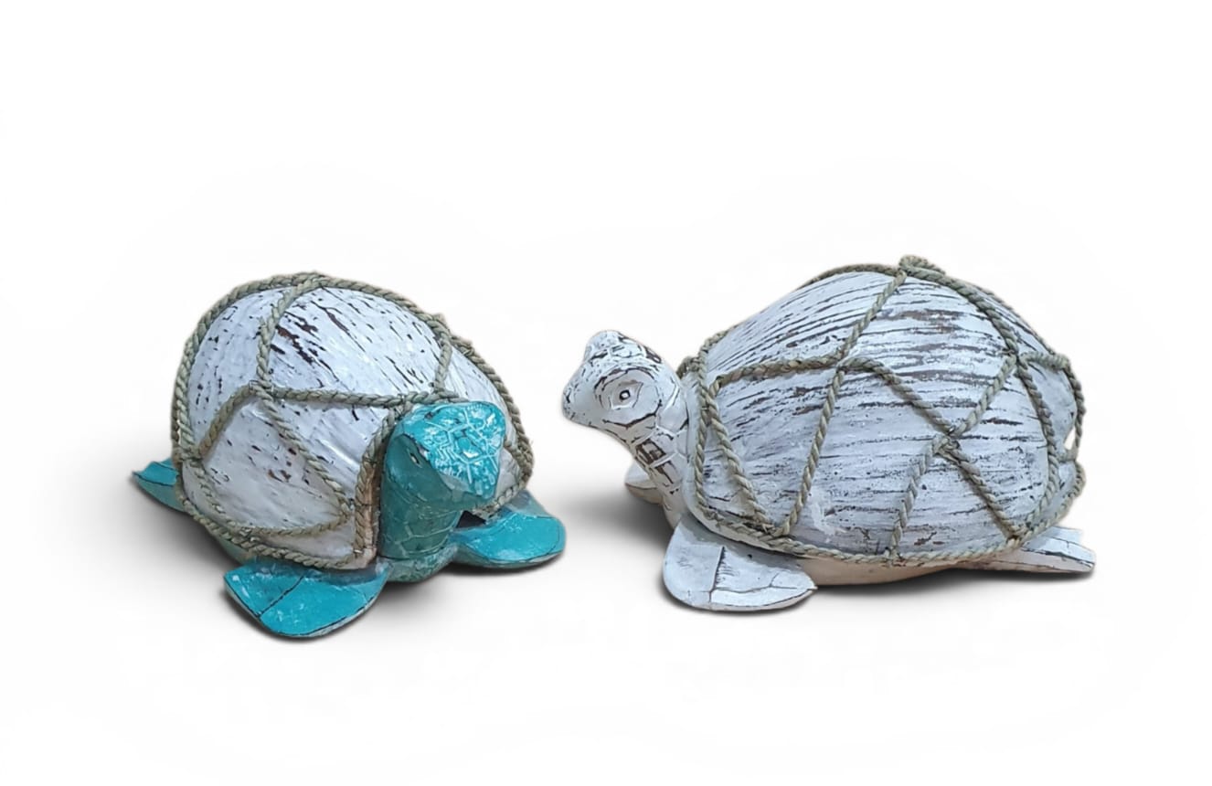 Tortuga coco