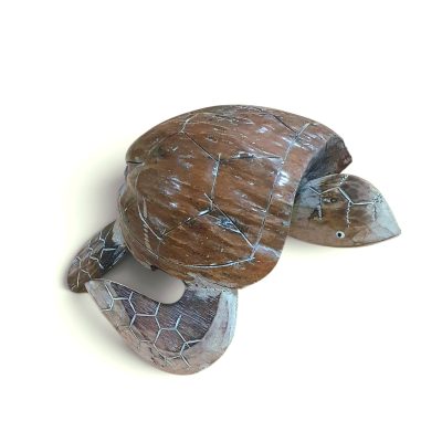 Tortuga coco grande