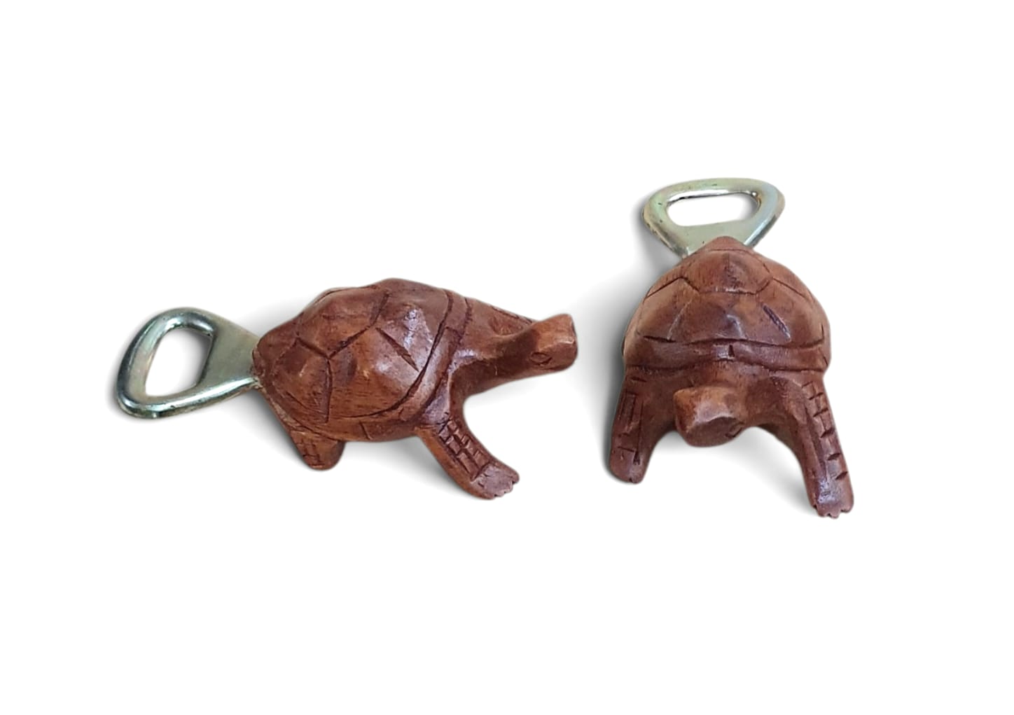 Abre botella tortuga