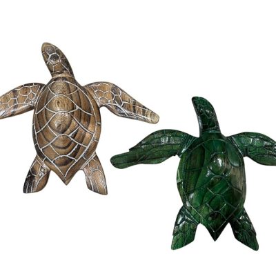 Tortuga 25 cm con ala