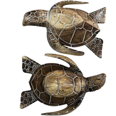Tortuga 25 cm
