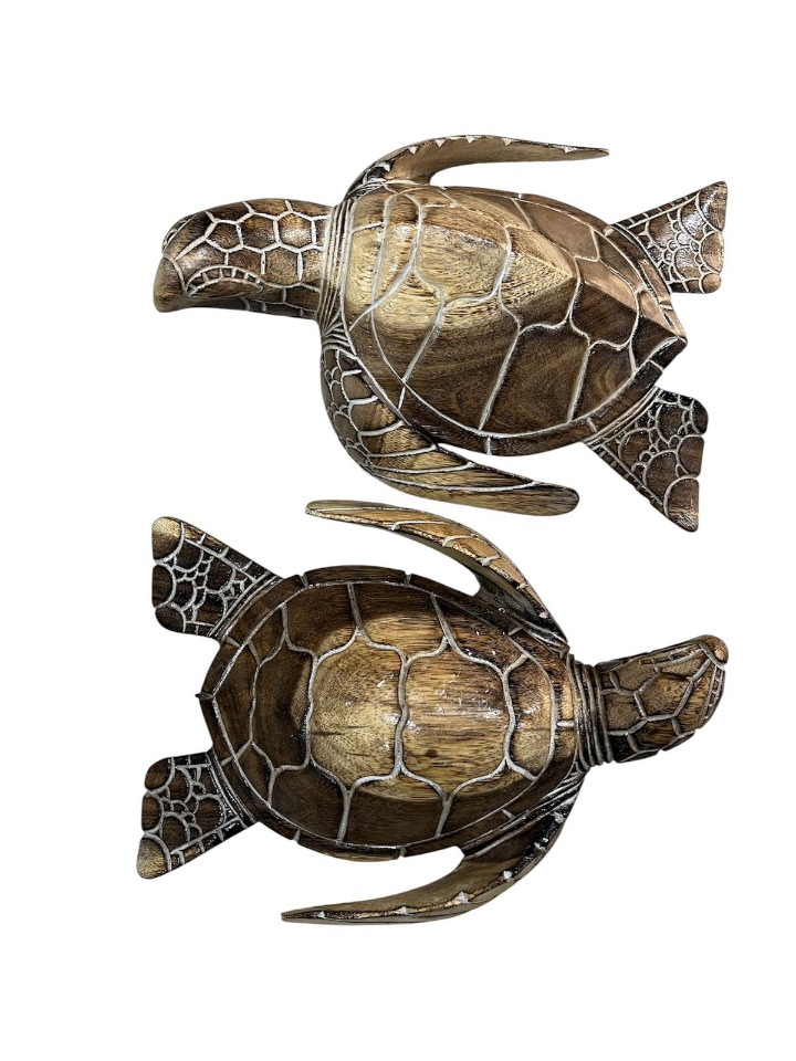 Tortuga 25 cm