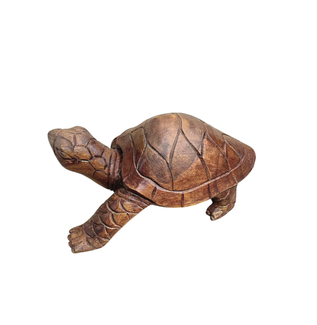 Tortuga caminando 30 cm madera tallada - Imagen 2